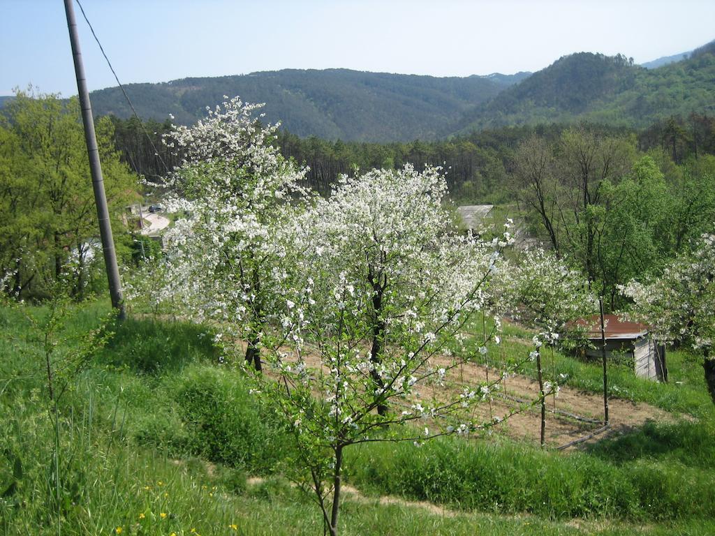 Agriturismo Casalino Beverino Dış mekan fotoğraf