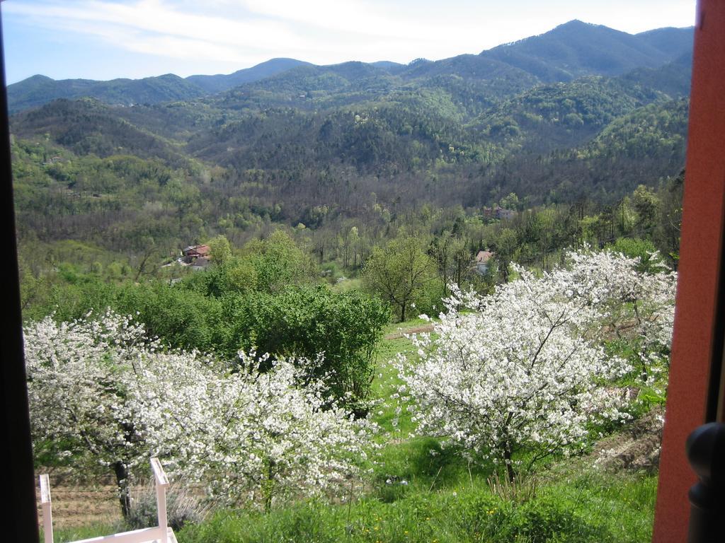 Agriturismo Casalino Beverino Dış mekan fotoğraf